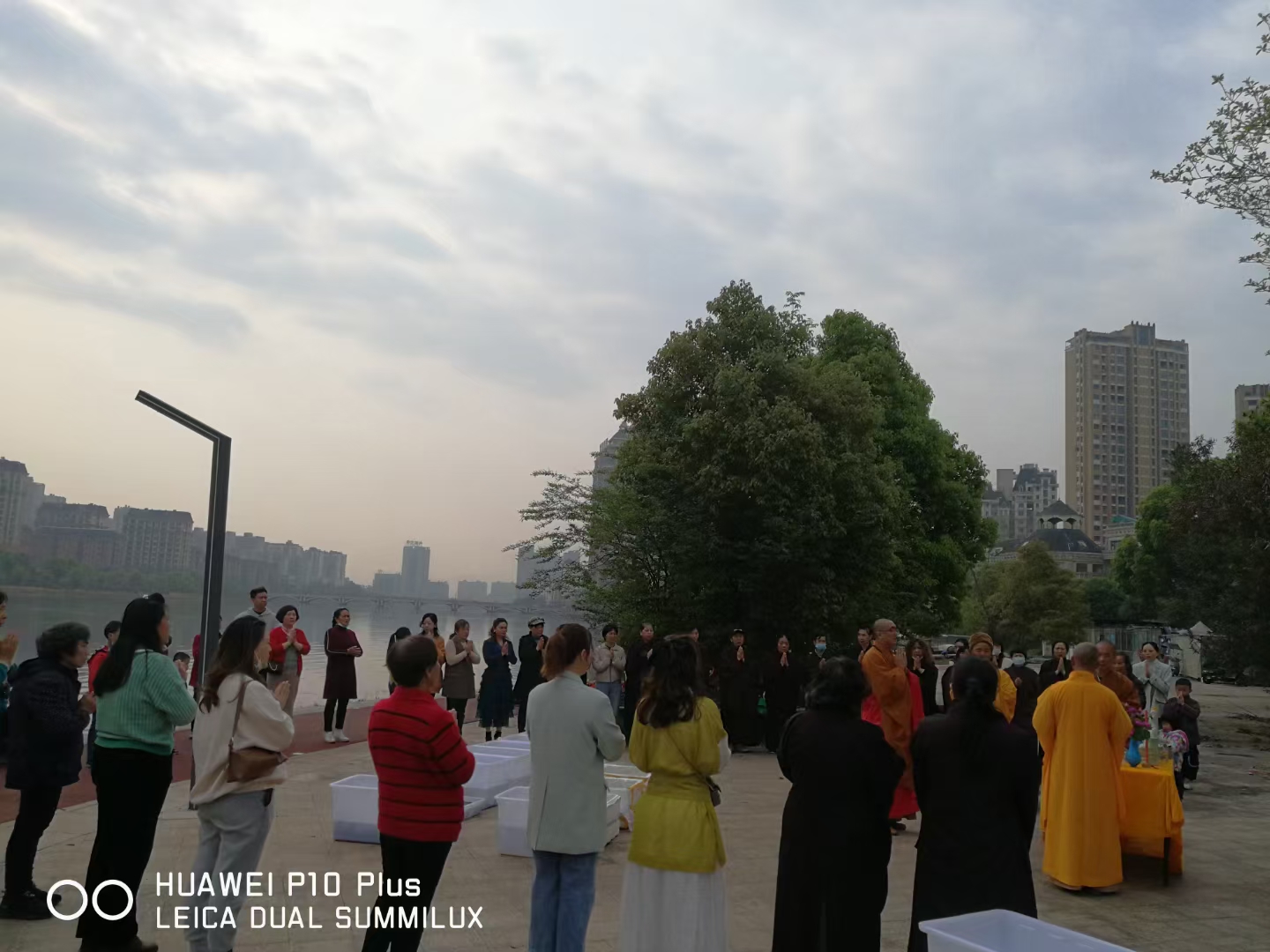 Welcome乐盈准提菩萨圣诞日法会通启